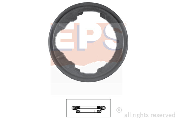 EPS Dichtung, Thermostat