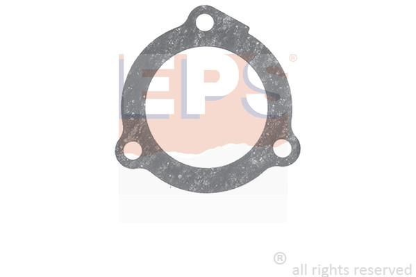 EPS Dichtung, Thermostat
