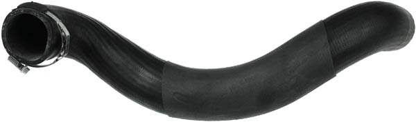 RAPRO Ladeluftschlauch