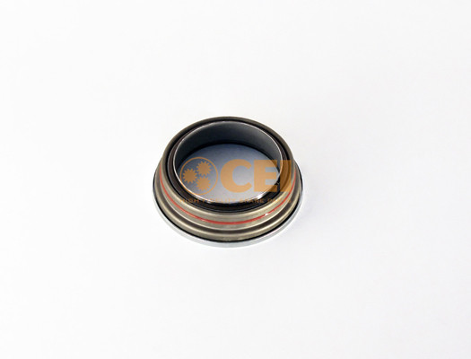 C.E.I. Wellendichtring, Differential