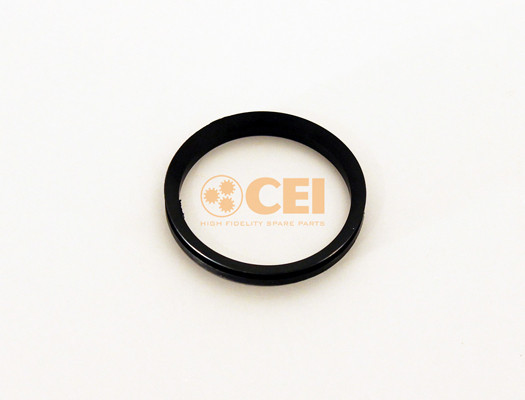 C.E.I. Wellendichtring, Differential