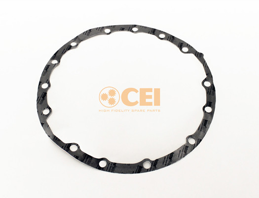 C.E.I. Dichtung, Differential