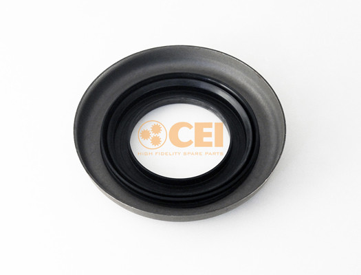 C.E.I. Wellendichtring, Differential