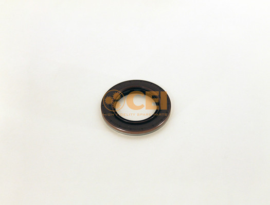 C.E.I. Wellendichtring, Differential