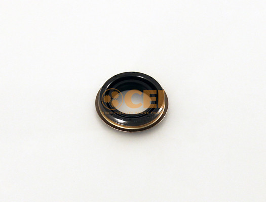 C.E.I. Wellendichtring, Schaltgetriebe