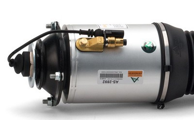 Arnott Luftfederbein