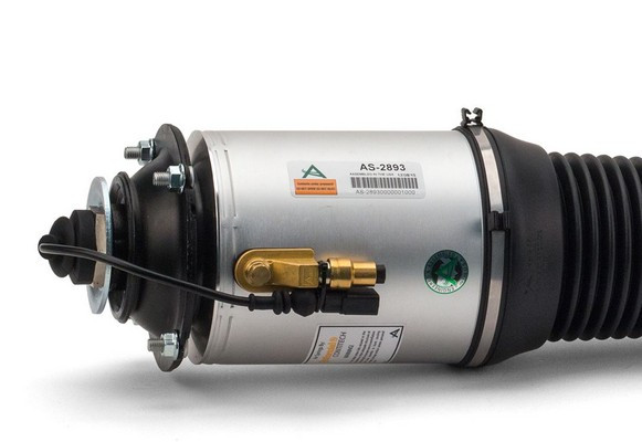 Arnott Luftfederbein