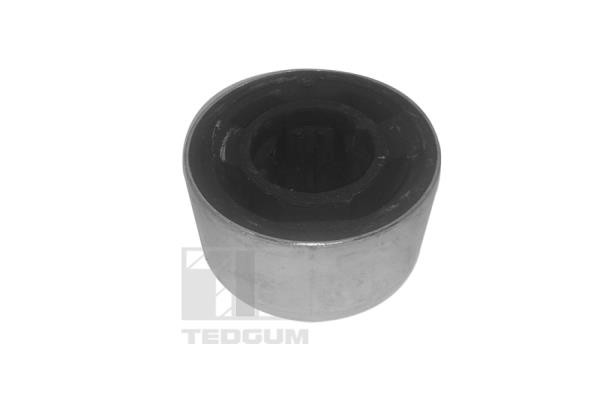 TEDGUM Lagerung, Lenker