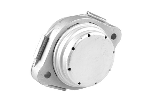 TEDGUM Lagerung, Motor