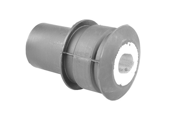 TEDGUM Lagerung, Motor