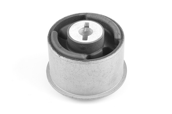 TEDGUM Lagerung, Achsträger