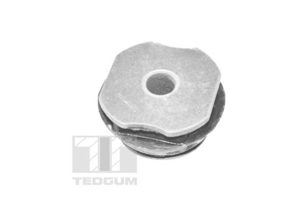 TEDGUM Lagerung, Achsträger