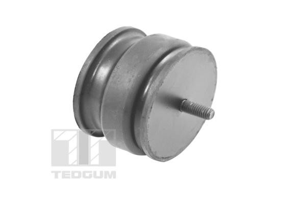 TEDGUM Lagerung, Motor