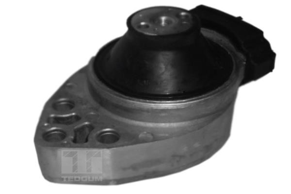 TEDGUM Lagerung, Motor