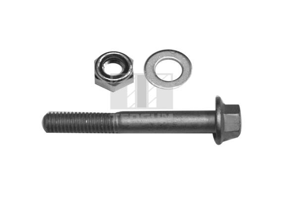 TEDGUM Schraube, Querlenker