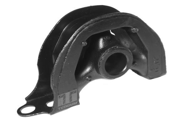 TEDGUM Lagerung, Motor