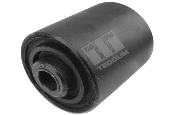 TEDGUM Lagerung, Motor