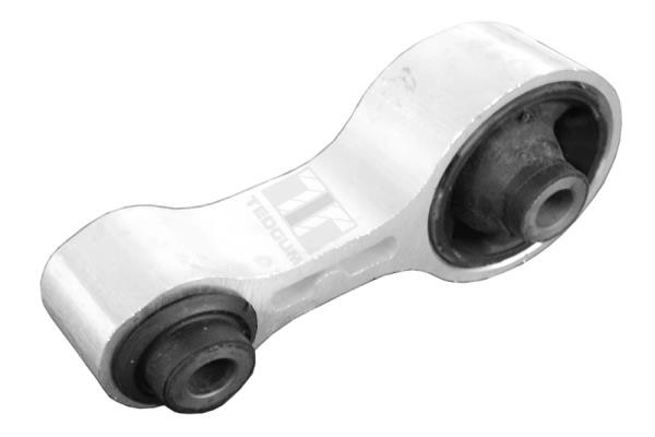 TEDGUM Lagerung, Motor