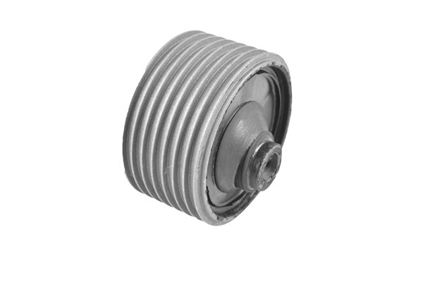 TEDGUM Lagerung, Motor