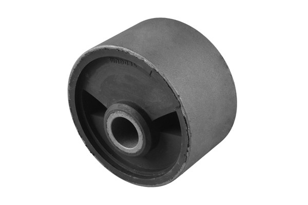 TEDGUM Lagerung, Motor