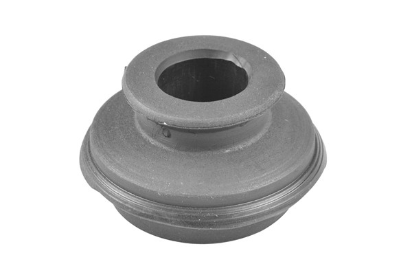 TEDGUM Lagerung, Automatikgetriebeträger