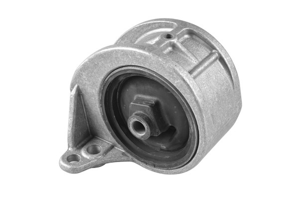 TEDGUM Lagerung, Motor