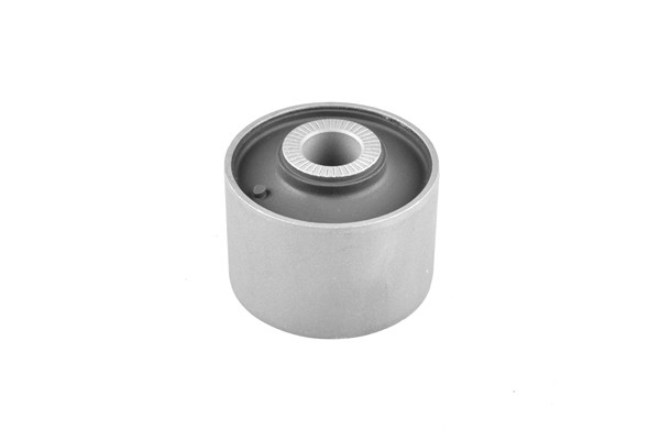 TEDGUM Lagerung, Lenker