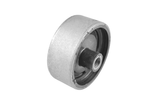 TEDGUM Lagerung, Motor