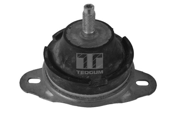 TEDGUM Lagerung, Motor TEDGUM Lagerung, Motor
