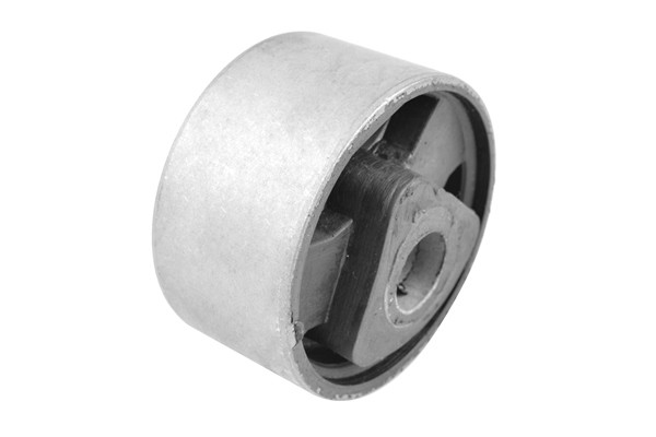 TEDGUM Lagerung, Motor