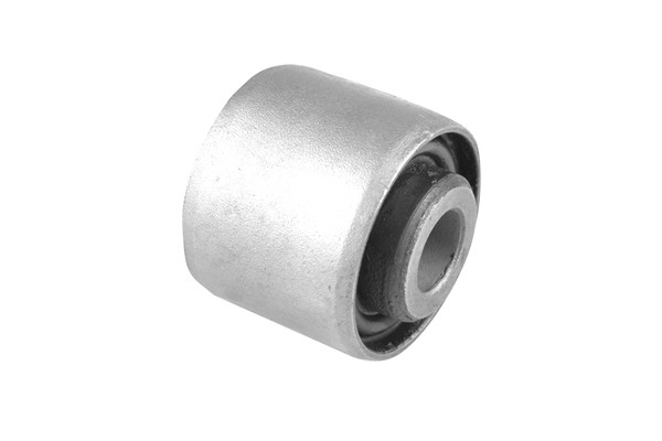 TEDGUM Lagerung, Lenker