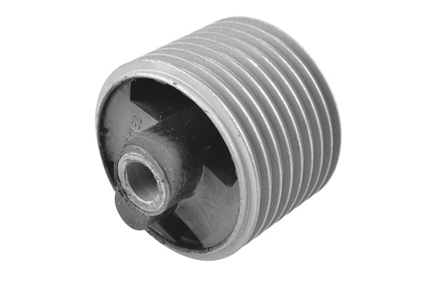 TEDGUM Lagerung, Motor