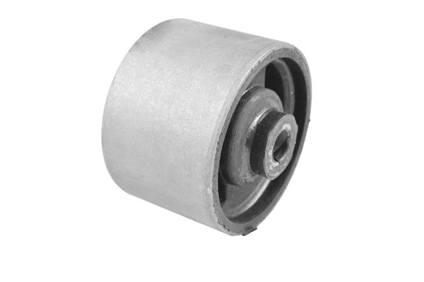 TEDGUM Lagerung, Motor