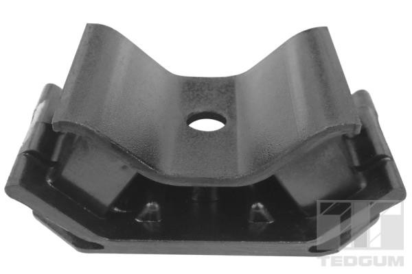 TEDGUM Lagerung, Motor