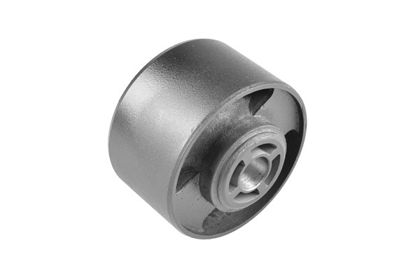 TEDGUM Lagerung, Motor