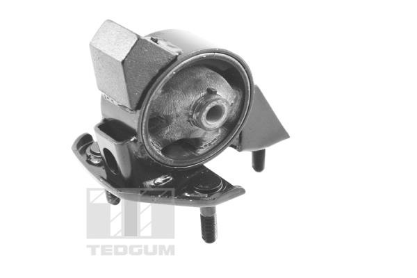 TEDGUM Lagerung, Motor