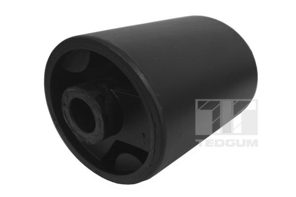 TEDGUM Lagerung, Motor