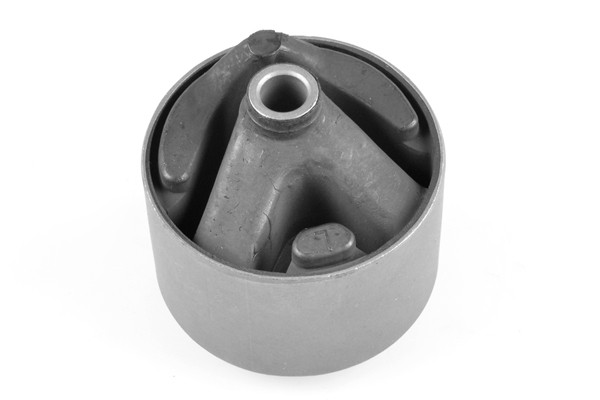 TEDGUM Lagerung, Motor