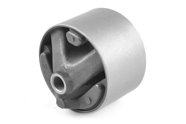 TEDGUM Lagerung, Motor