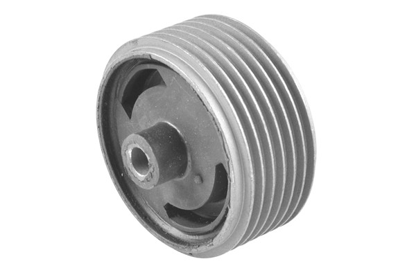 TEDGUM Lagerung, Motor