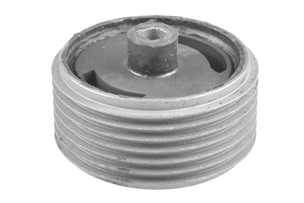 TEDGUM Lagerung, Motor