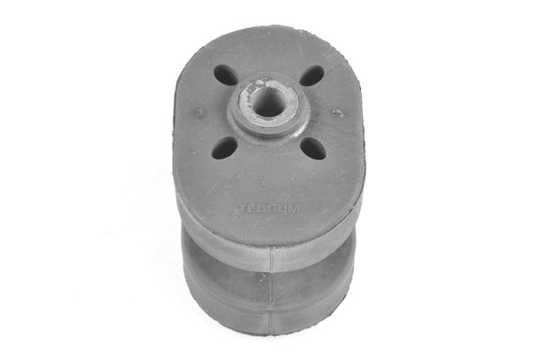 TEDGUM Lagerung, Motor