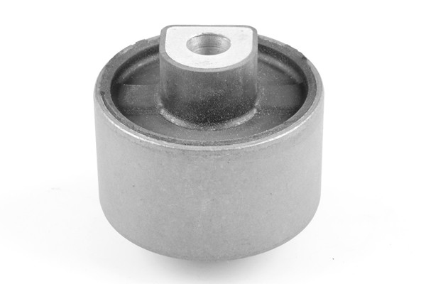 TEDGUM Lagerung, Lenker