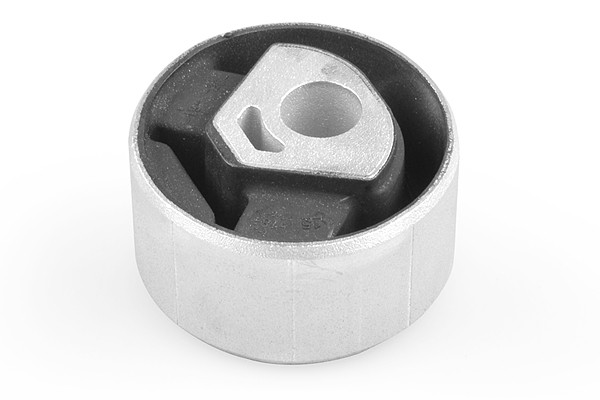 TEDGUM Lagerung, Motor