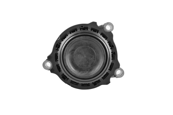 TEDGUM Lagerung, Motor