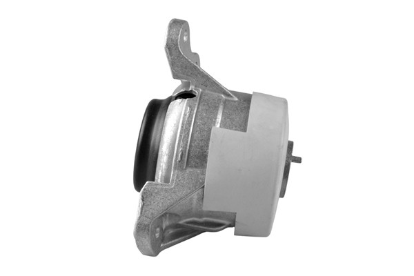 TEDGUM Lagerung, Motor