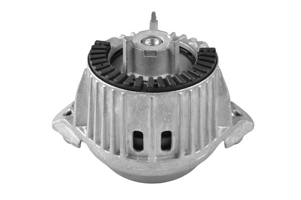 TEDGUM Lagerung, Motor