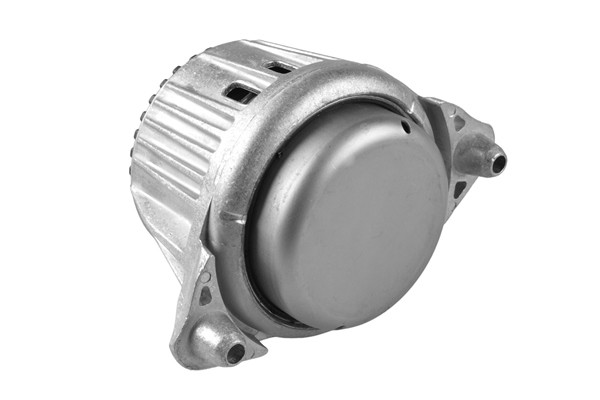 TEDGUM Lagerung, Motor