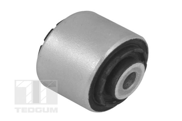 TEDGUM Lagerung, Lenker