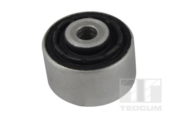 TEDGUM Lagerung, Lenker